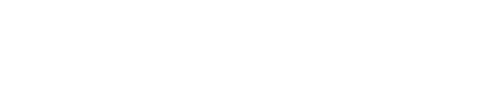Pixel & Press white logo