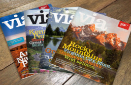 AAA Via Magazine cover design with four magazines on wood background.